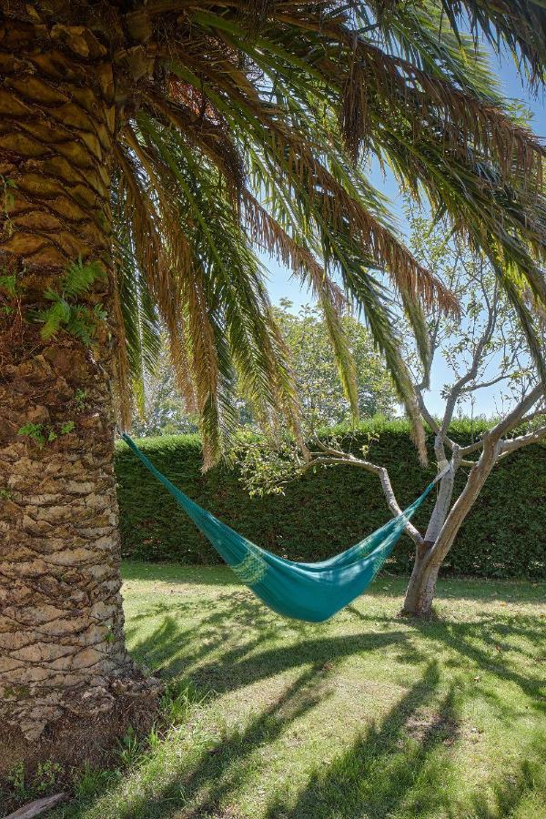 Casa Rural La Palmera - Landetxea Lasarte Oria Buitenkant foto